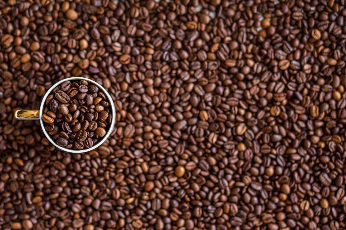 Café en grano, teoría de la oxidación y mantenimiento - Ineffable Coffee